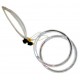 Ангельские глазки CCFL EA Light X 140MM