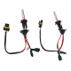 Ксеноновая лампа H11 EA Light X Premium +30% 4300K 35W Керамика (1 шт.)