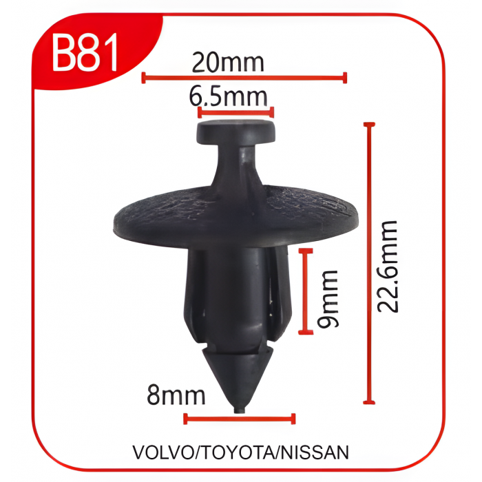 Андапка B81